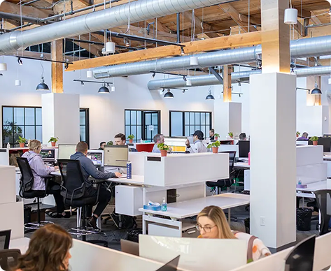 Employees sitting at their desks